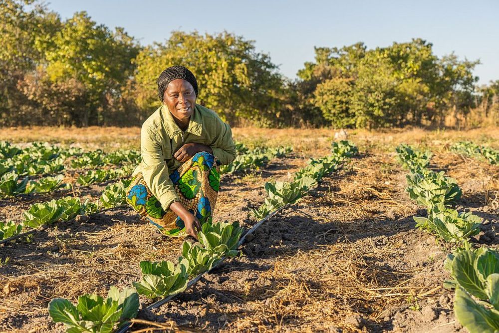 Agriculture climate science in Zambia gets boost with launch of new World Bank-backed grant