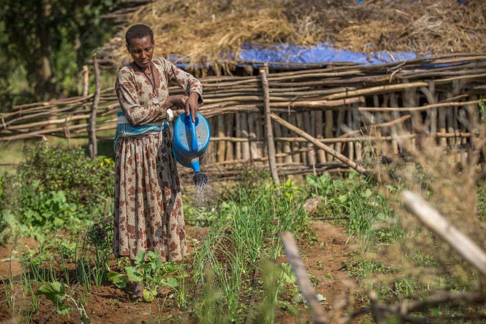 Researchers map Ethiopia's irrigated areas at a previously unavailable resolution